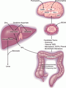 Probiotics Reduce Hepatic Encephalopathy Risk by 50% | Clinical Education