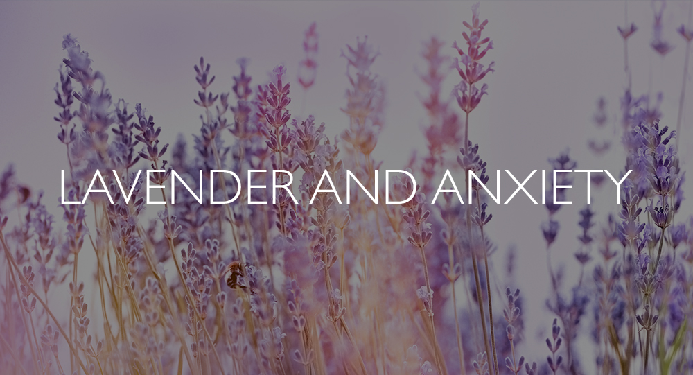 Lavender and anxiety